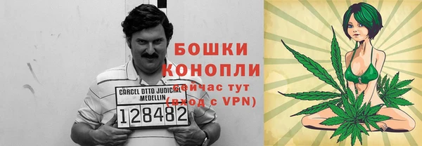 шишки Алексин