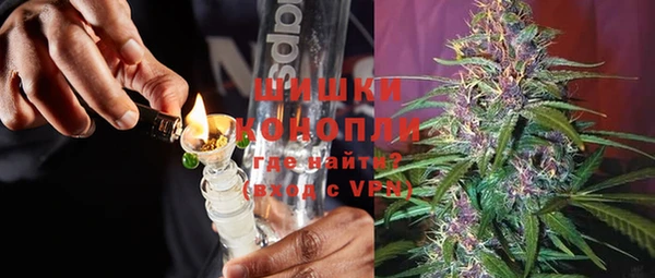 шишки Алексин