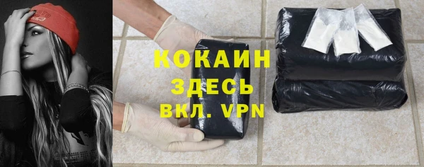 шишки Алексин