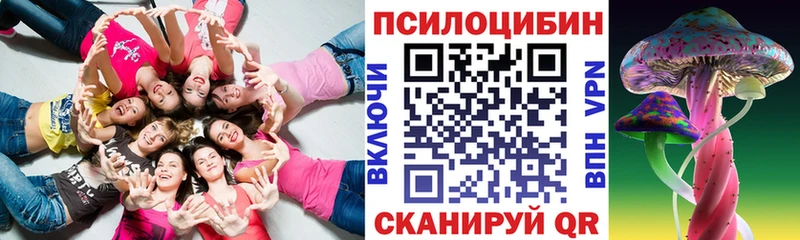 купить наркоту  Спасск-Рязанский  Галлюциногенные грибы мицелий 
